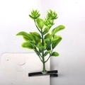 Macro shot of green bean sprout hair clips with black metal duckbill clips on card - Little Tree Style 6