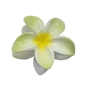 Yellow and green gradient Plumeria flower hair claw clip with a summer tropical style - Gradient Bauhinia Claw [Green]