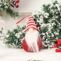 Dettaglio di uno gnomo di Natale in peluche a righe su rami innevati con neve - Stile D