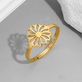 282 Gold / Opening Adjustable