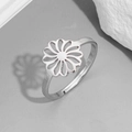 282 Steel Color / Opening Adjustable