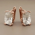Detail of rose gold lever-back earrings with large rectangular cut sparkling crystals - Rose Gold Style 5