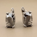 Macro shot of silver earrings featuring radiant-cut dark grey rectangular crystals - Silver Style 8