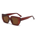 Fashionable oversized amber square sunglasses with translucent frames and brown lenses - Dark Tea Frame Brown Lens