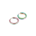 Rainbow gradient stainless steel hoop earrings with classic clasp closure for daily wear - 19mm / Colorful
