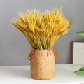 Tallos de trigo dorado seco en una cesta de hierba tejida con adornos de cuero - Bolsa de hierba amarilla grande y cebada seca