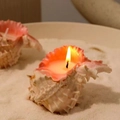 Duftkerze in Muschelform mit brennender Flamme auf Sand für maritime Dekoration - Rote Stachelschnecke Kerze [8-10cm] / Freesie [Verpackt]
