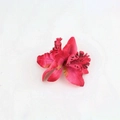 Rose Red