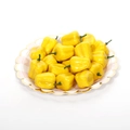 Artificial yellow bell peppers in a gold-rimmed plate for photography decor - Mini Yellow Bell Pepper