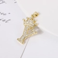 Detailed close-up of a gold-plated Y-letter pendant with crown design and clear zircons - Letter Y