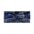 Navy Paisley