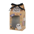 Halloween kraft paper gift box with window, black ribbon bow and Trick or Treat print - White Ghost