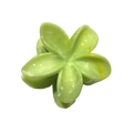 Green plumeria hair claw clip with marble texture and glossy resin finish - Marble Plumeria [Green]