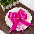 Detail of rose red wedding pull bow with gold edges on a decorative white plate - Gold Edge Rose Red