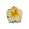 Translucent yellow and white gradient plumeria flower hair claw clip with multi-teeth grip - Hibiscus [White Yellow Center]