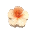Elegant gradient orange plumeria flower hair claw clip with glossy resin finish - Hibiscus Flower Claw [Orange]