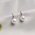 Elegant freshwater white pearl earrings with sterling silver high-heel style hooks - 925 Silver / Standard / Silver White Pearl