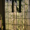 Maple Leaf Green Vines / Battery Box Version 2 Meters 20 Lights
