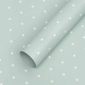 Glaçure Verte À Petits Points 20 Feuilles (56*56cm) ±5%