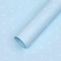 Paquet De 20 Feuilles De Petits Pois Bleu Clair De Lune ; (56 X 56 Cm) ± 5 %