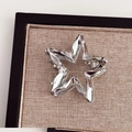 Dettaglio del fermaglio a stella in metallo argento su espositore in tessuto beige - Pentagramma / Argento