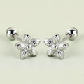 Steel Color|0.8*6*6 * 5.8mm