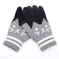 Winter thermal touch screen knit gloves with cartoon cat jacquard and fleece lining - One Size / Gray