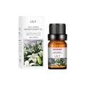 10ml Lily scented multi-purpose aromatherapy oil in brown glass bottle with packaging box - Lily