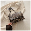 Detailed view of leopard print crossbody bag with metallic chain and dark hardware - Leopard Print
