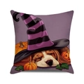 Detailed view of Beagle dog wearing witch hat sleeping in pumpkins on Halloween pillowcase - Sleeping Beagle Pumpkin