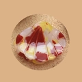 Mini shell-shaped acetate hair claw with red and yellow tortoiseshell pattern - Shell Red 2.6cm