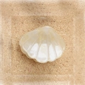 Elegant pearl white shell-shaped hair claw clip with a glossy acetate finish - Shell White 2.6cm