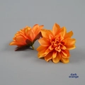 Dark Orange / The Flower Is About 8cm In Diameter.