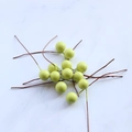 DIY 10mm artificial light green berries with brown wire stems on marble background - Green