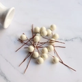 DIY 10mm cream artificial berries on brown stems over elegant marble background - Matte White