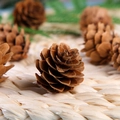 Artificial PVC pine needles with natural brown pine cones for Christmas tree decoration - 2-3cm Mini Pine Cone
