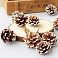 Natural brown pine cones with white snow effect on wooden base for Christmas decor - 3-4cm White Tipped Pine Cone