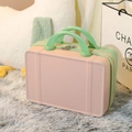 Pink and Green / 14-inch Multifunctional Suitcase