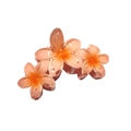 Matte peach pink gradient plumeria hair claw clip with transparent floral design - Triple Plumeria Claw [Orange]