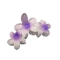 Translucent purple gradient Plumeria flower hair claw clip with triple blossom design - Triple Plumeria Claw [Purple]