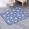 Quilted blue pet sleeping mat with cartoon raccoon patterns on light wooden floor - 40*30cm / Blue Dog