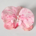 Pellicola 3D Rosa N. 1 (Grande)