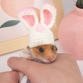 Handmade pink bunny knit hat with plush ball for hamsters and small pets - White Rabbit
