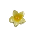 Translucent yellow and white plumeria flower hair claw clip with a glitter finish - Maple Leaf Yellow