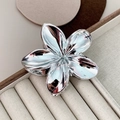 25988a Argent
