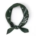 Dark green paisley square silk scarf tied in a stylish knot on a white background - Dark Green Paisley