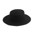 Classic black flat top felt fedora hat for men and women on a clean white background - Plain / Black