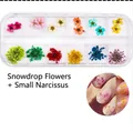 Detailed view of 12-color dried flowers for nail art in a clear compartmentalized case - Dried Flowers-03 (Snow Beads/Narcissus)