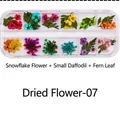 Close-up of 12-slot nail art box with natural dried flowers, narcissus, and fern leaves - Dried Flowers-07 (Snow Beads/Narcissus/Fern)