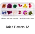 Detail of 12-color dried flower set for nail art with daffodil, lace flower and cornflower - Dried Flowers-12 (Narcissus/Lace Flower/Cornflower/Chrysanthemum/Leaf)